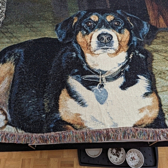 Mountain Bernese dog tapestry woven blanket - Picture 2 of 5